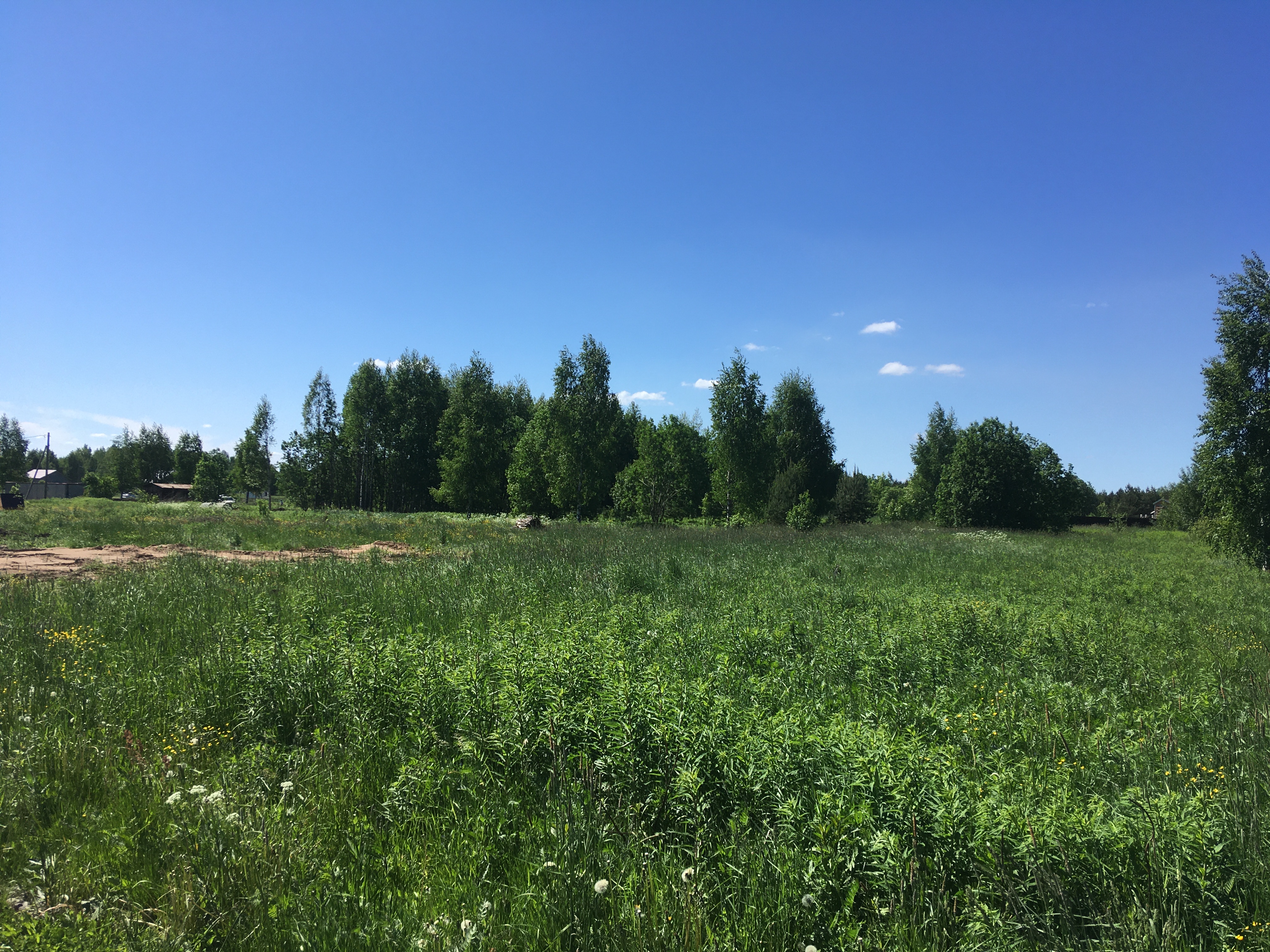 Земля городище. Деревня Городище Череповецкий район. Земельный участок Городище. Д Луговая. Городище д. экономические Полянки.